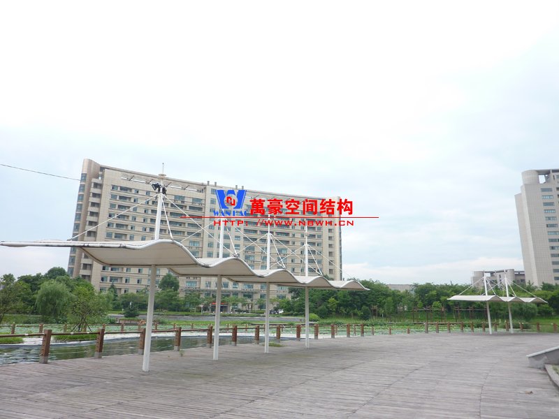 膜結構